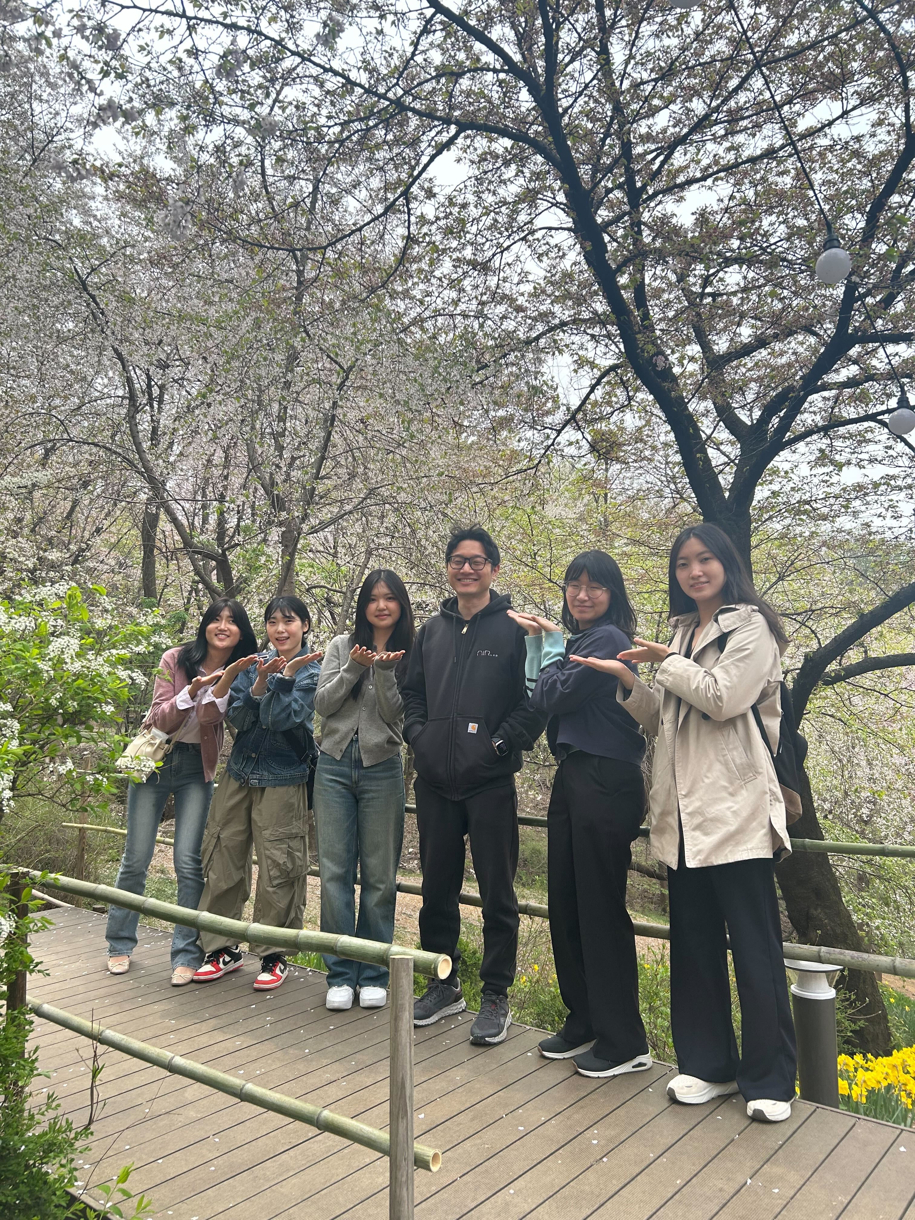 Cherry Blossoms at Hongjecheon Waterfall